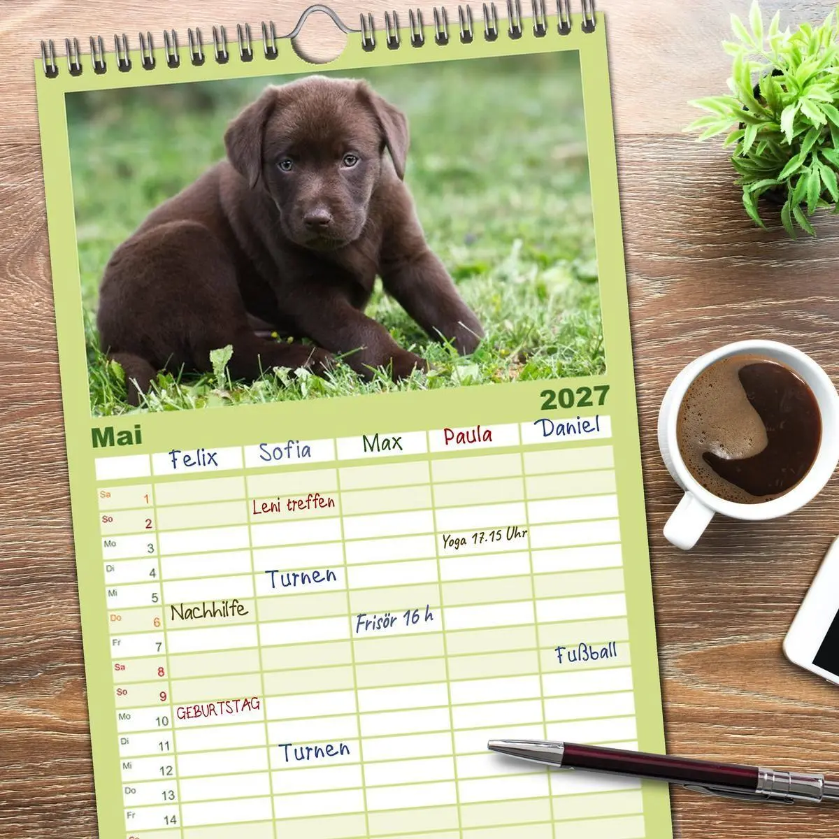 Bild: 9783594332528 | Familienplaner 2027 - Labrador Welpen mit 5 Spalten (Wandkalender,...