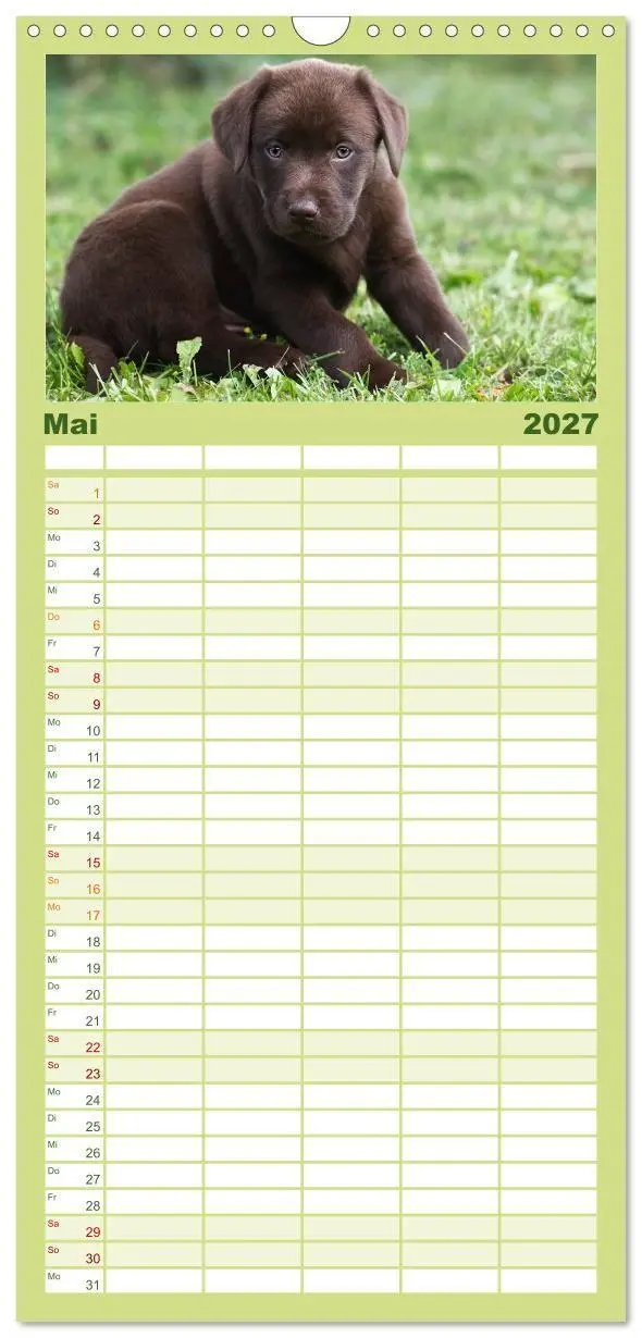 Bild: 9783594332528 | Familienplaner 2027 - Labrador Welpen mit 5 Spalten (Wandkalender,...