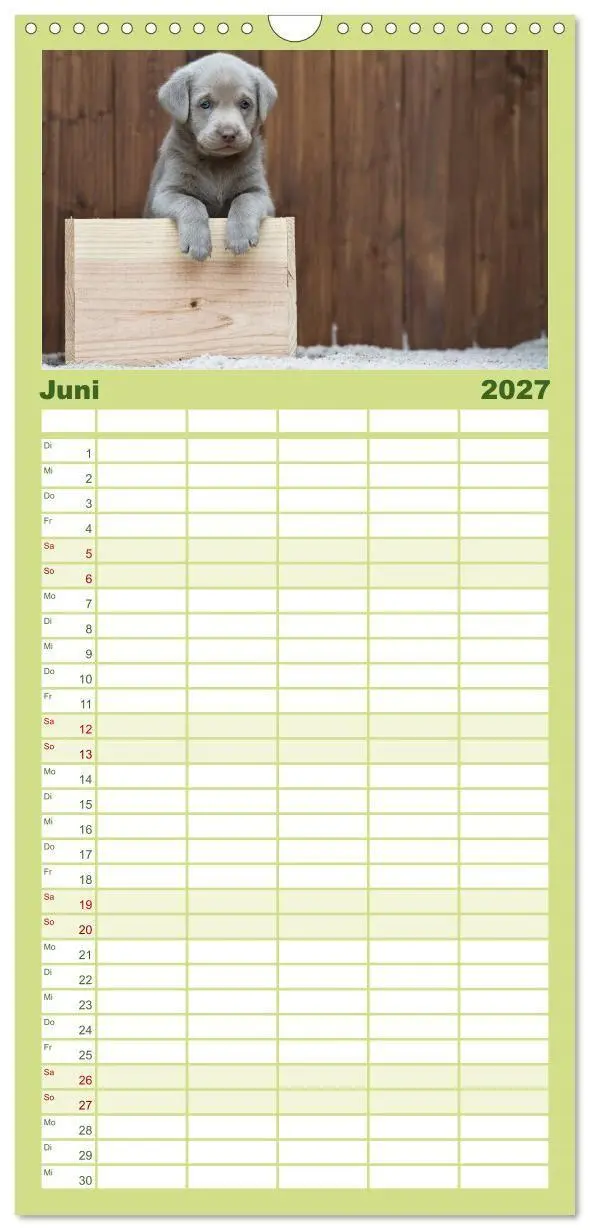 Bild: 9783594332528 | Familienplaner 2027 - Labrador Welpen mit 5 Spalten (Wandkalender,...