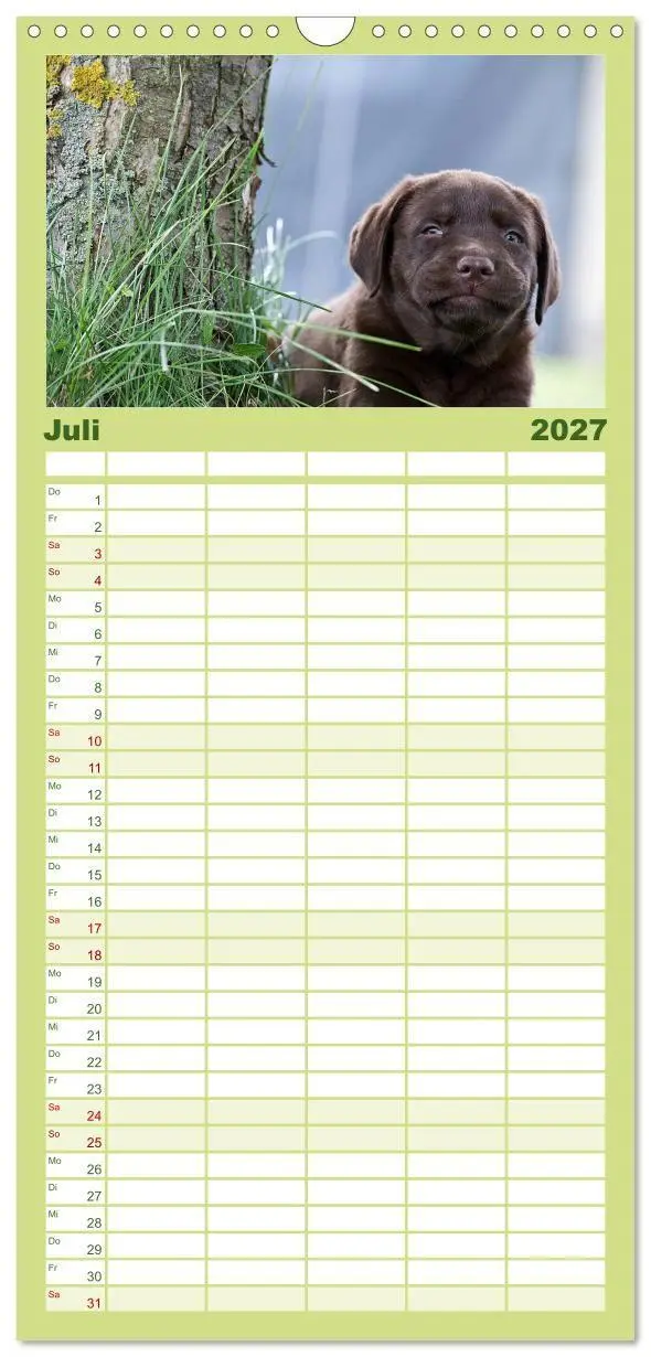 Bild: 9783594332528 | Familienplaner 2027 - Labrador Welpen mit 5 Spalten (Wandkalender,...