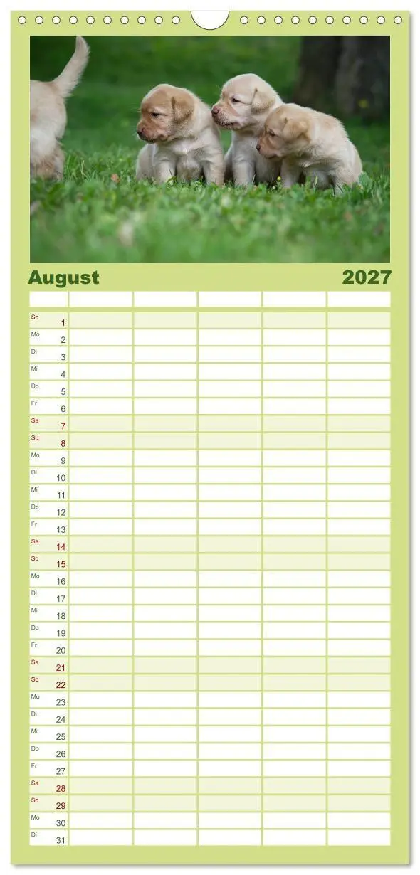 Bild: 9783594332528 | Familienplaner 2027 - Labrador Welpen mit 5 Spalten (Wandkalender,...