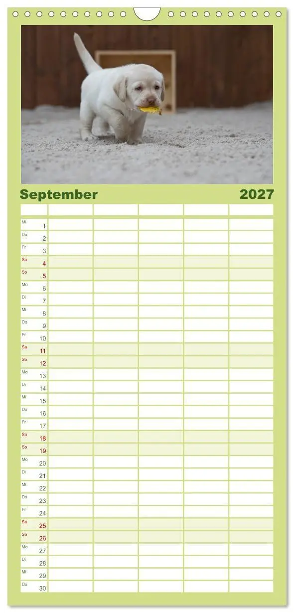 Bild: 9783594332528 | Familienplaner 2027 - Labrador Welpen mit 5 Spalten (Wandkalender,...