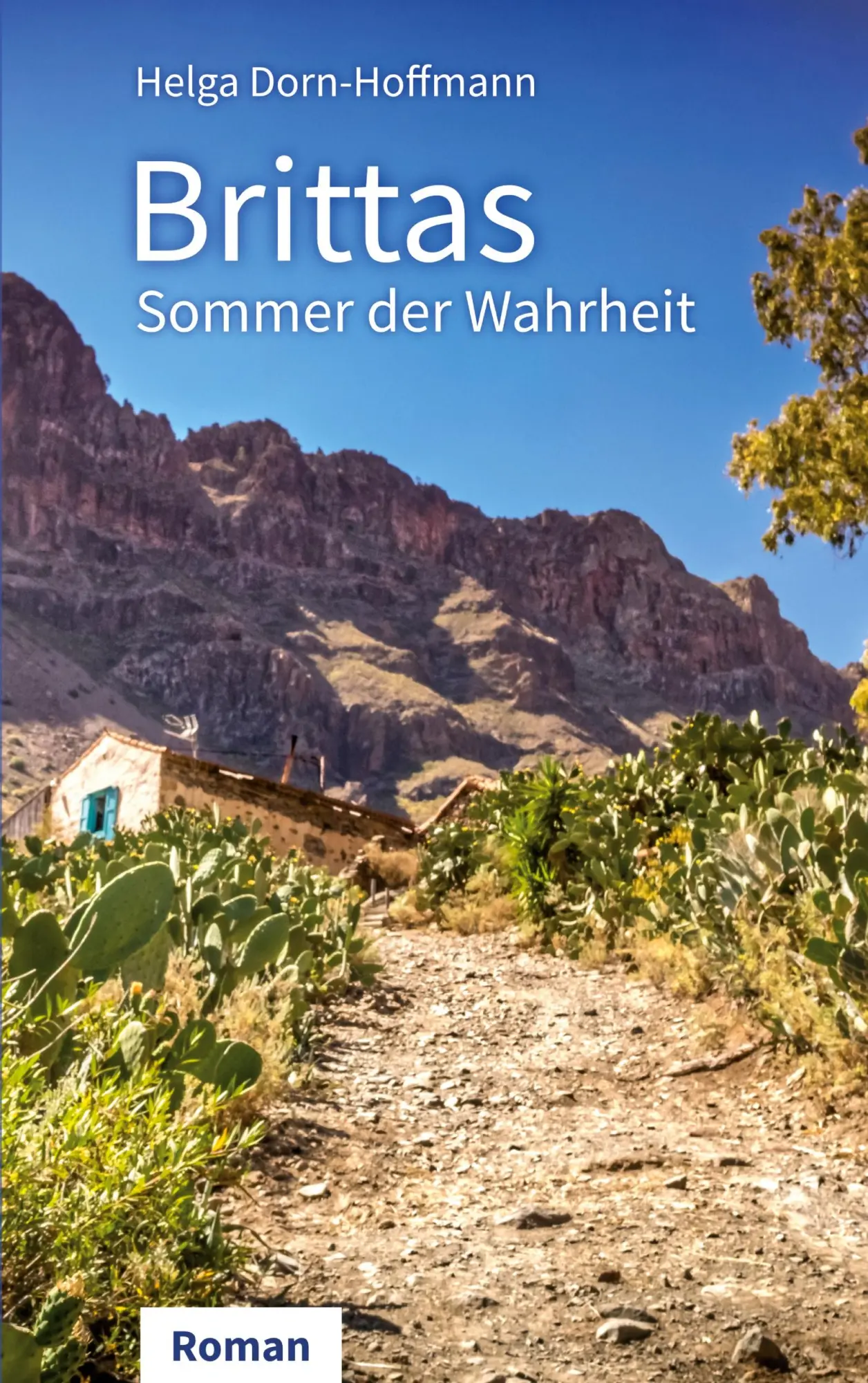 Cover: 9783695172528 | Brittas Sommer der Wahrheit | Roman | Helga Dorn-Hoffmann | Buch