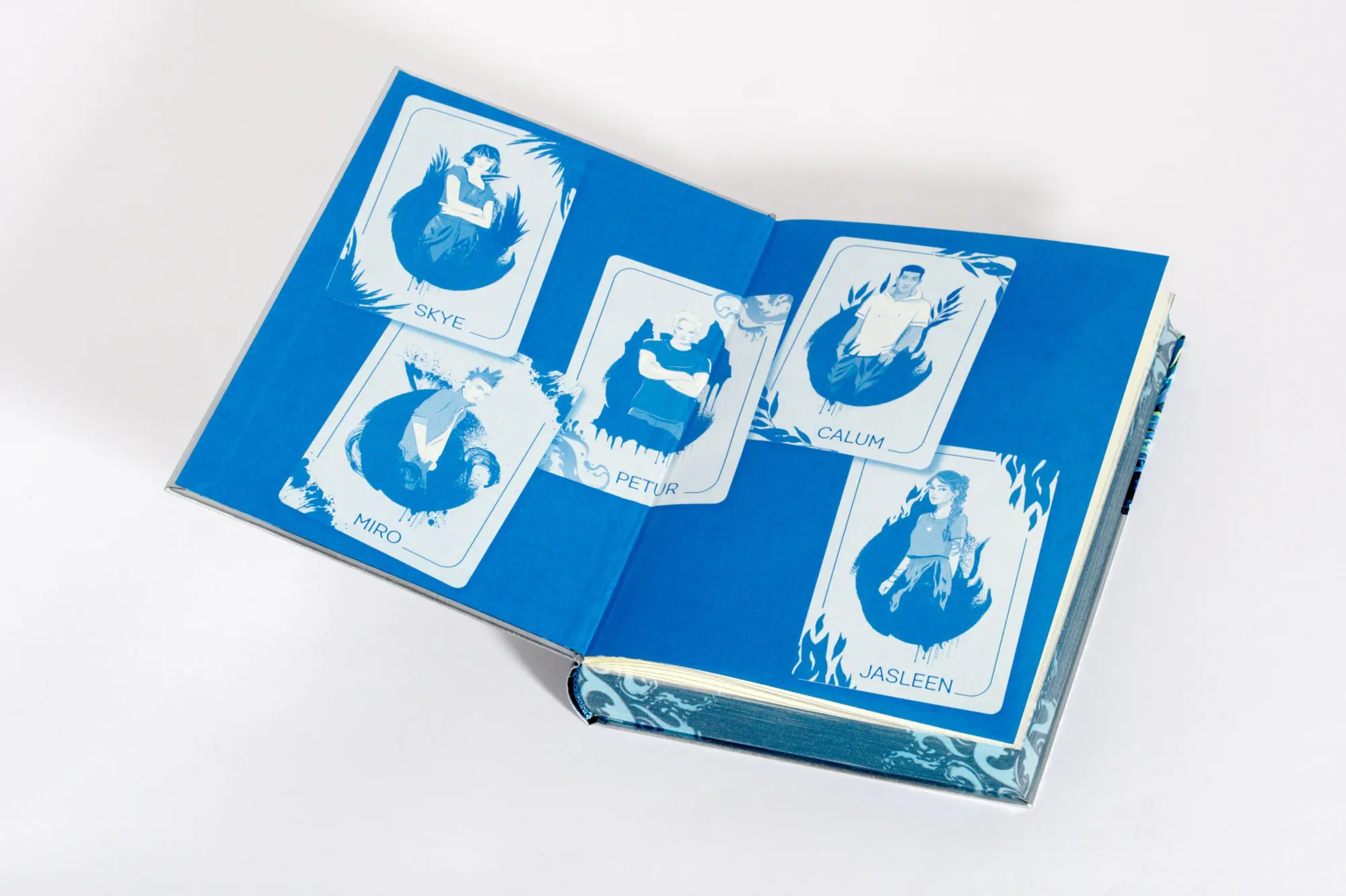Bild: 9783570182628 | Wilderland - Das Meer | Gina Mayer | Buch | Die Wilderland-Reihe | cbj