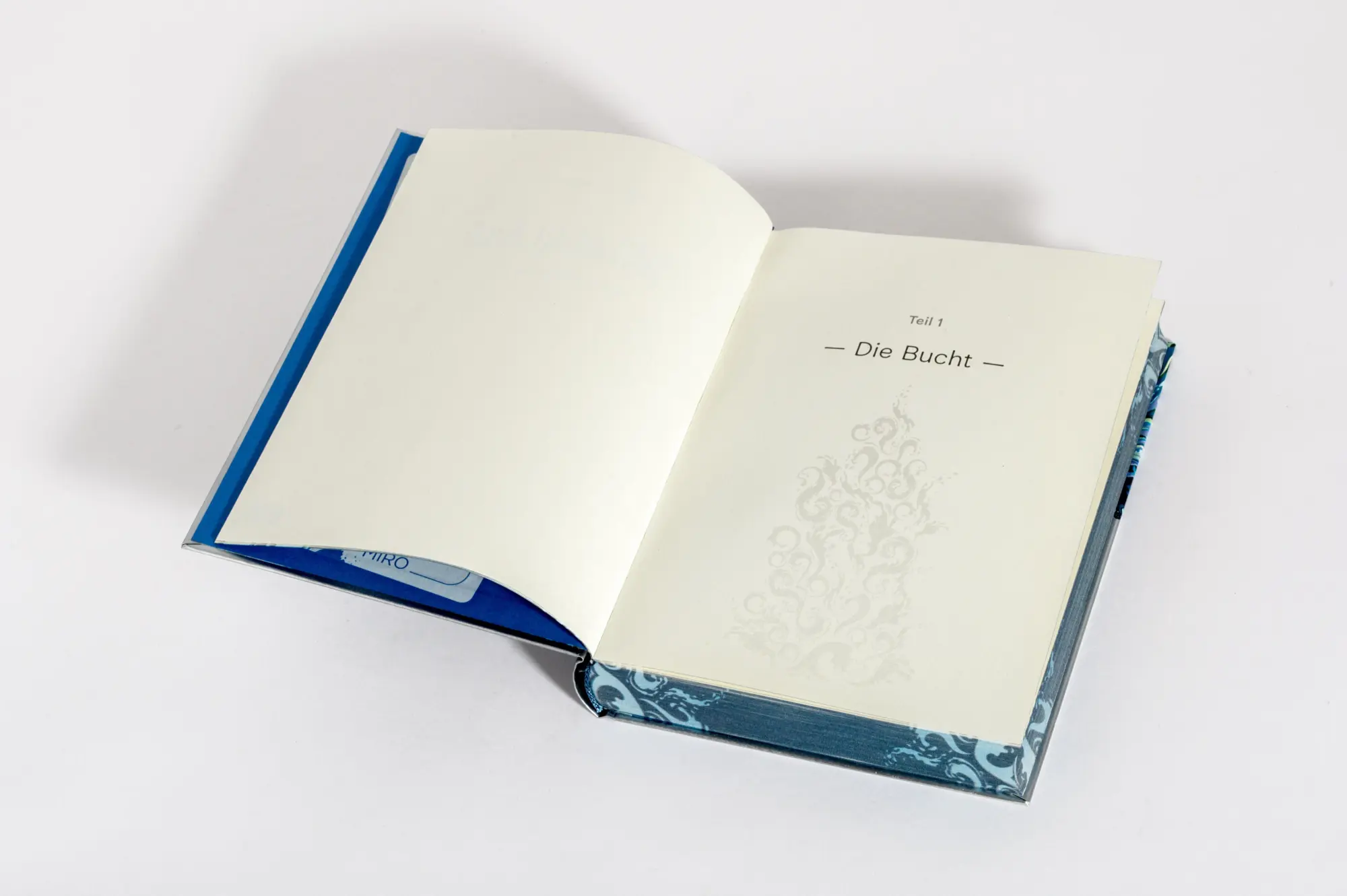 Bild: 9783570182628 | Wilderland - Das Meer | Gina Mayer | Buch | Die Wilderland-Reihe | cbj