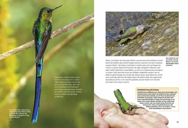 Bild: 9783866592728 | Entdecke die Kolibris | Leonie Proscurcin | Buch | 56 S. | Deutsch
