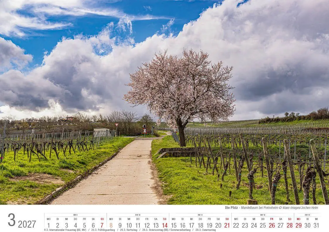 Bild: 9783965352728 | Die Pfalz 2027 Bildkalender A4 quer, spiralgebunden | Holger Klaes