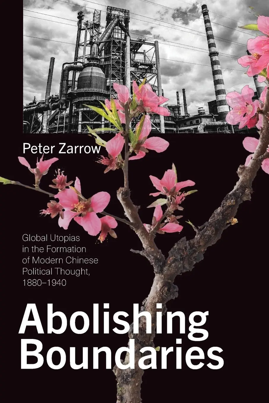Cover: 9781438482828 | Abolishing Boundaries | Peter Zarrow | Taschenbuch | Englisch | 2021