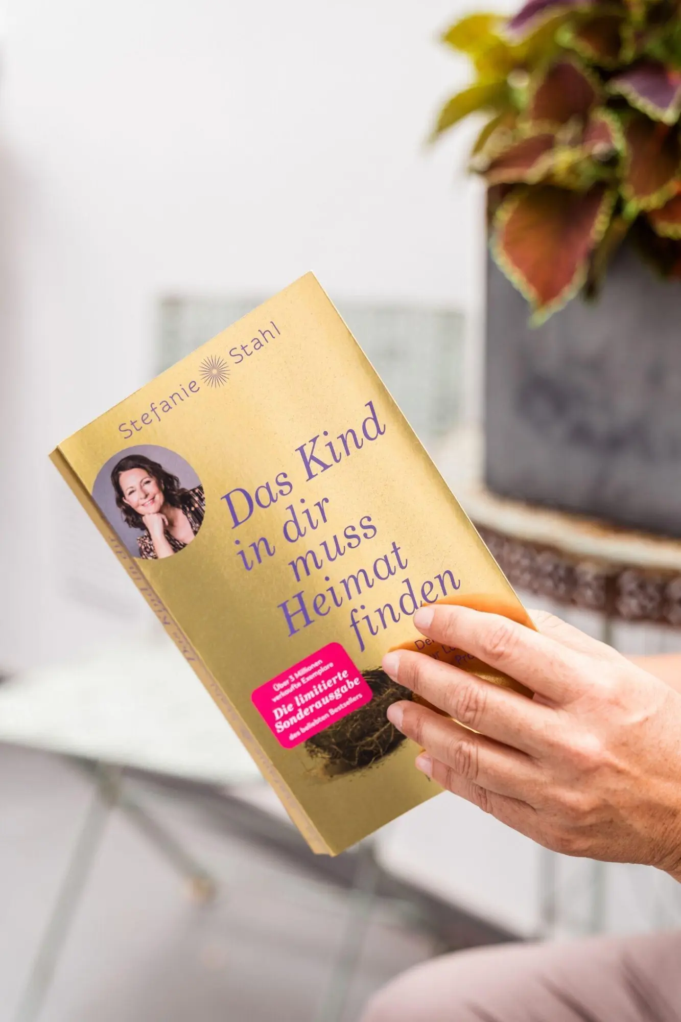 Bild: 9783424632828 | Das Kind in dir muss Heimat finden | Stefanie Stahl | Taschenbuch