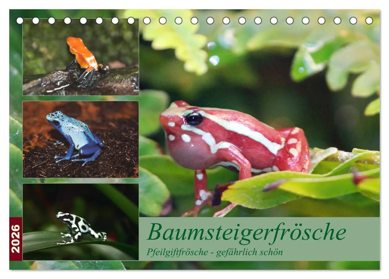 Cover: 9783516182828 | Baumsteigerfrösche. Pfeilgiftfrösche - gefährlich schön...