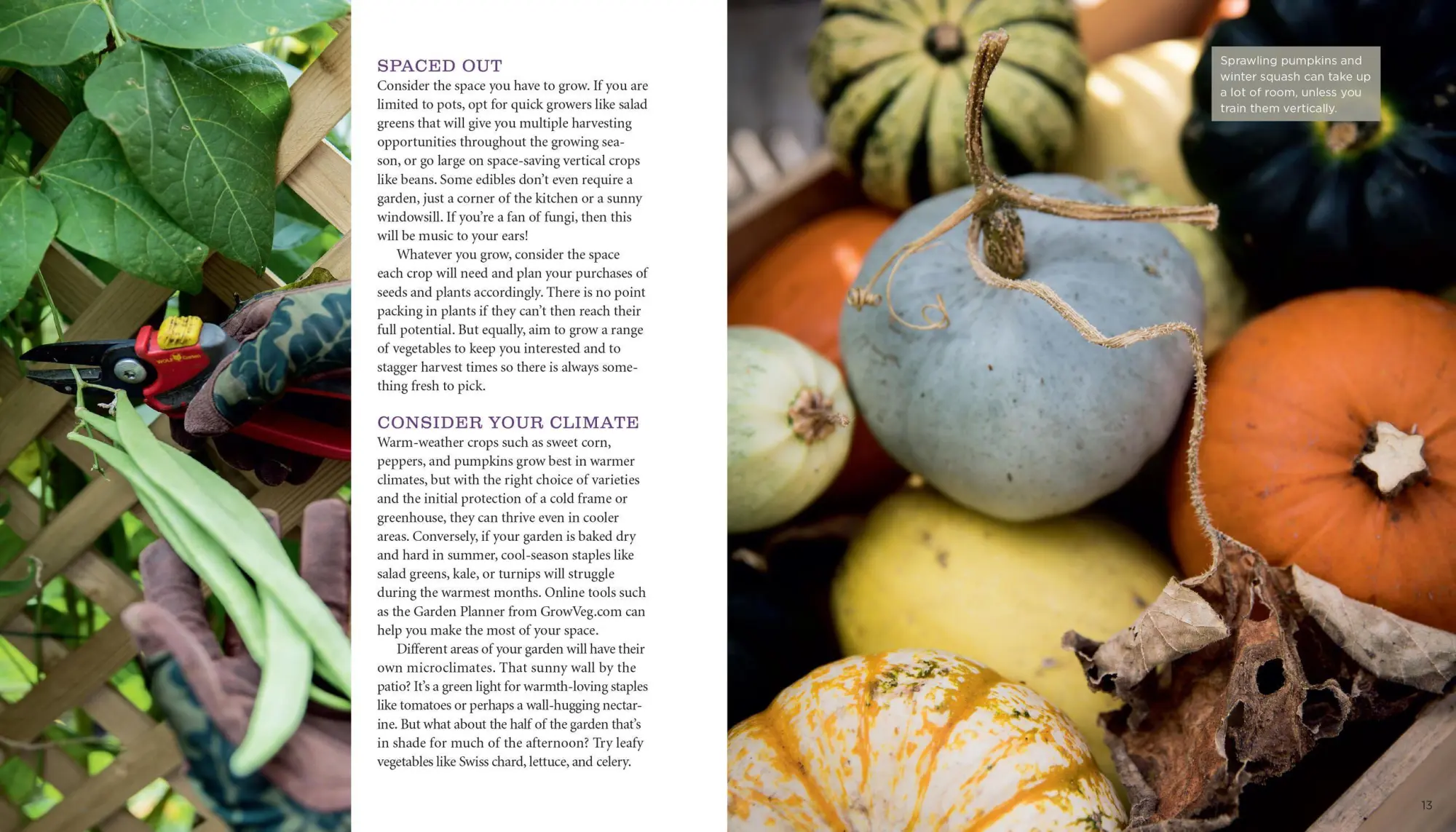 Bild: 9781635862928 | Growveg | The Beginner's Guide to Easy Vegetable Gardening | Vanheems