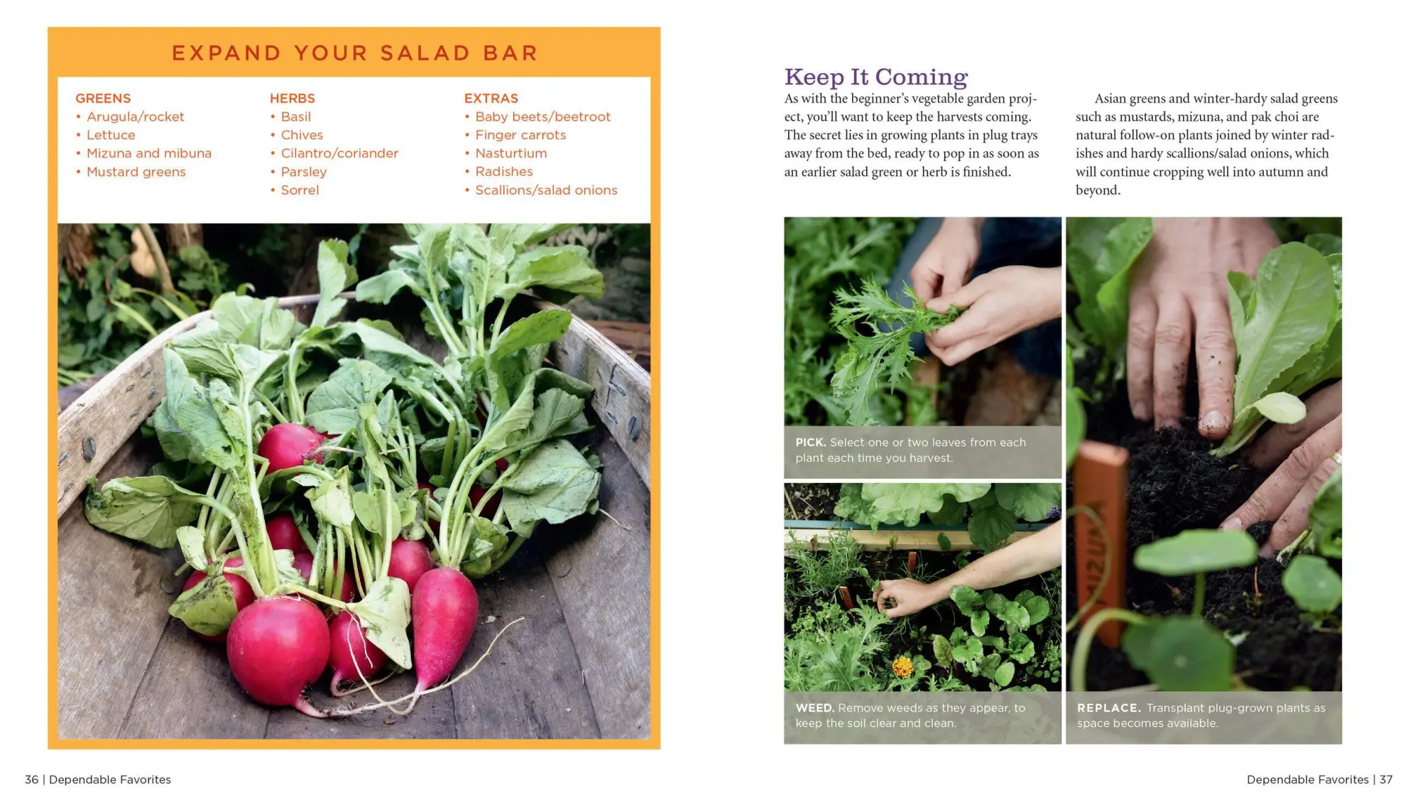 Bild: 9781635862928 | Growveg | The Beginner's Guide to Easy Vegetable Gardening | Vanheems