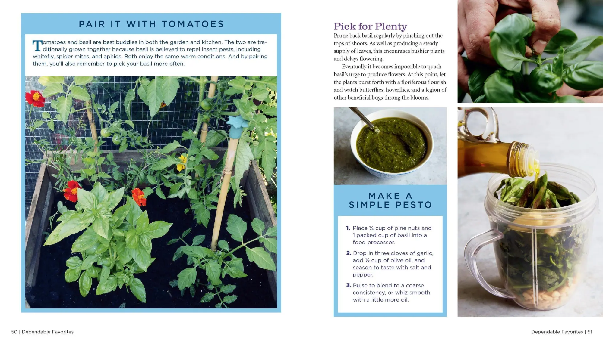 Bild: 9781635862928 | Growveg | The Beginner's Guide to Easy Vegetable Gardening | Vanheems