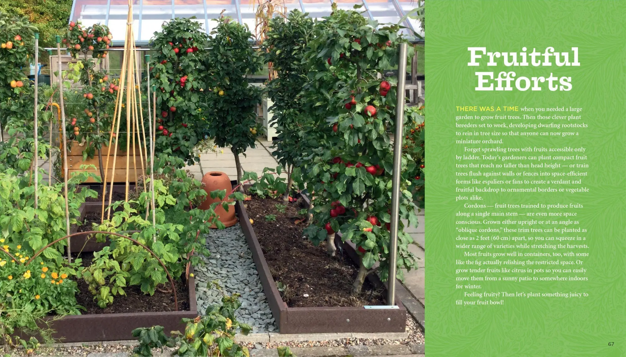 Bild: 9781635862928 | Growveg | The Beginner's Guide to Easy Vegetable Gardening | Vanheems