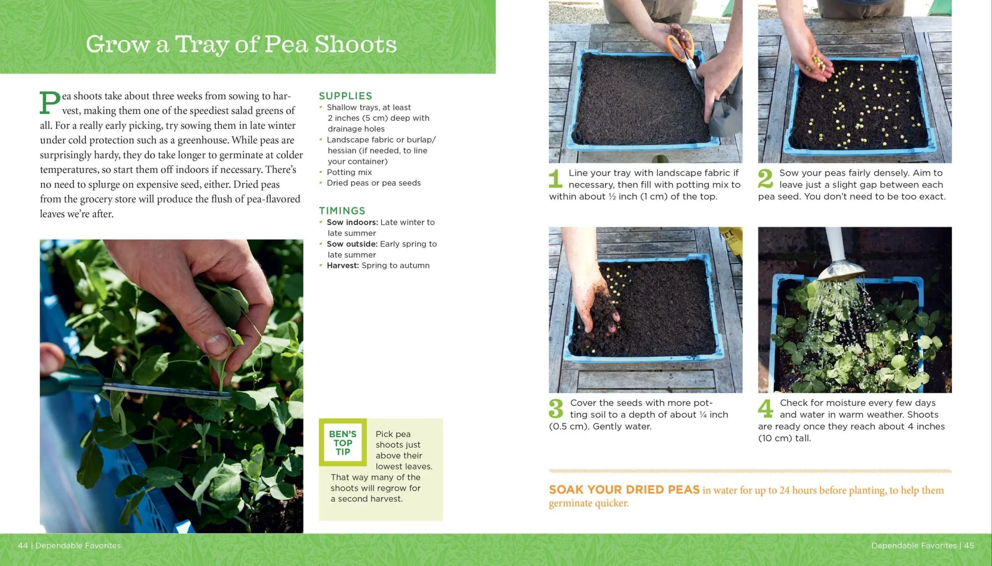 Bild: 9781635862928 | Growveg | The Beginner's Guide to Easy Vegetable Gardening | Vanheems