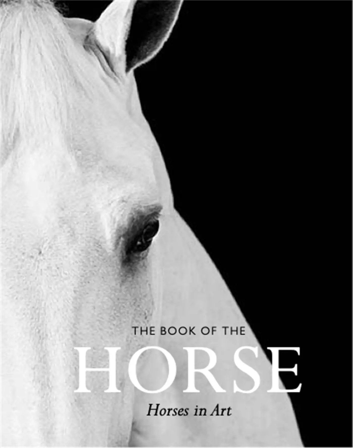 Cover: 9781786272928 | The Book of the Horse | Horses in Art | Angus Hyland | Taschenbuch