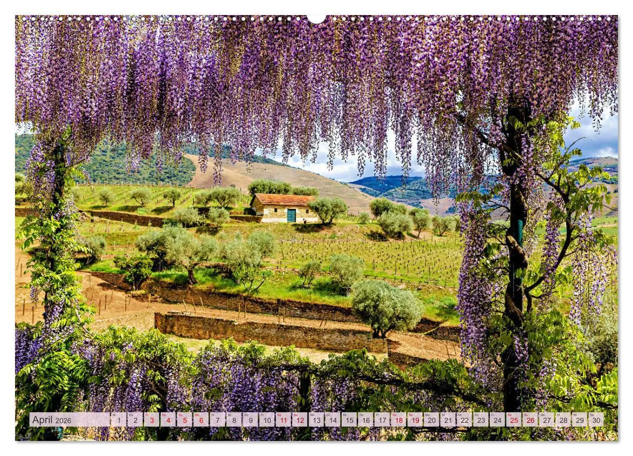 Bild: 9783457462928 | Von Porto bis an die Algarve (hochwertiger Premium Wandkalender...
