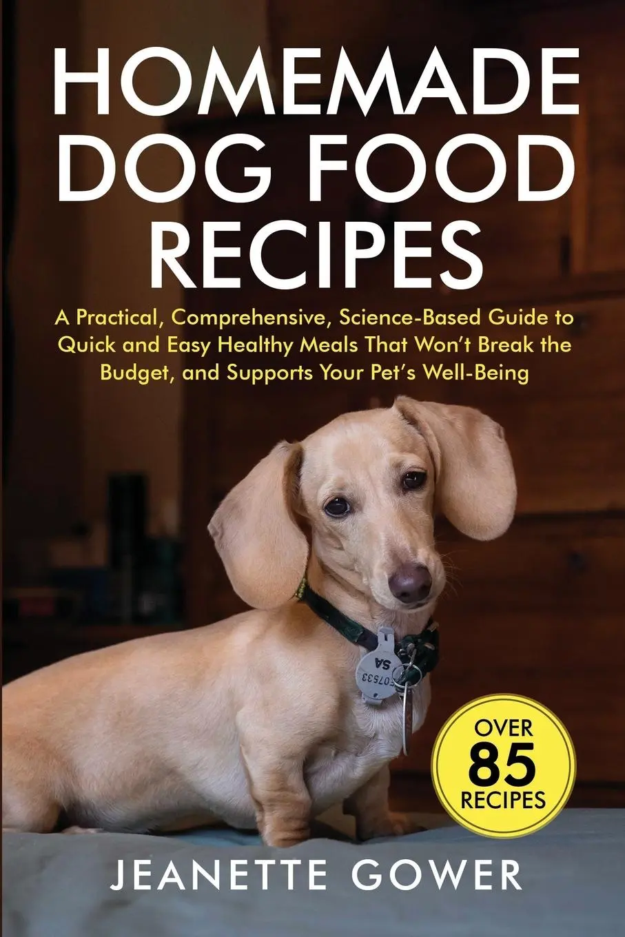 Cover: 9781968253028 | Homemade Dog Food Recipes | Jeanette Gower | Taschenbuch | Englisch
