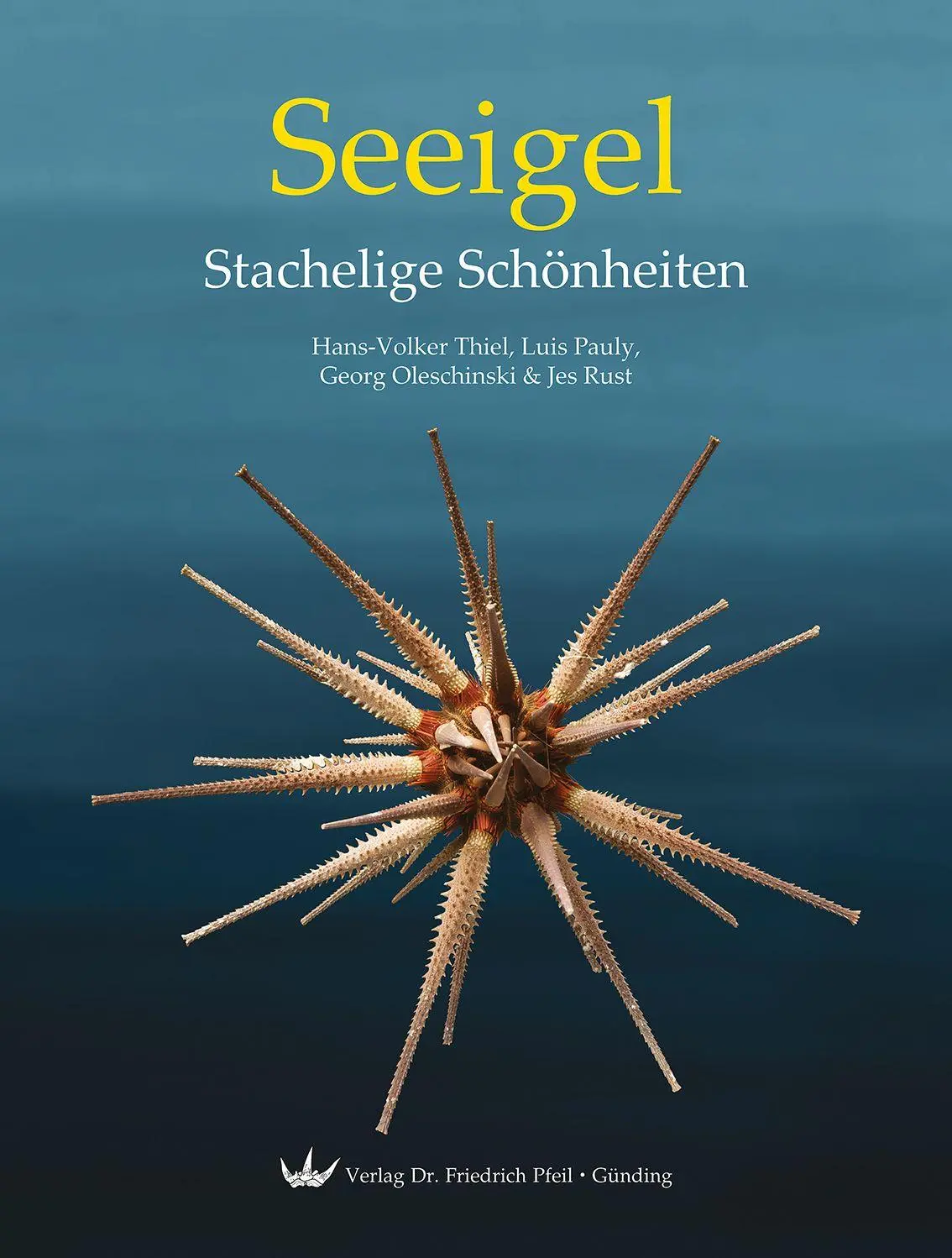 Cover: 9783899373028 | Seeigel - Stachelige Schönheiten | Hans-Volker Thiel (u. a.) | Buch
