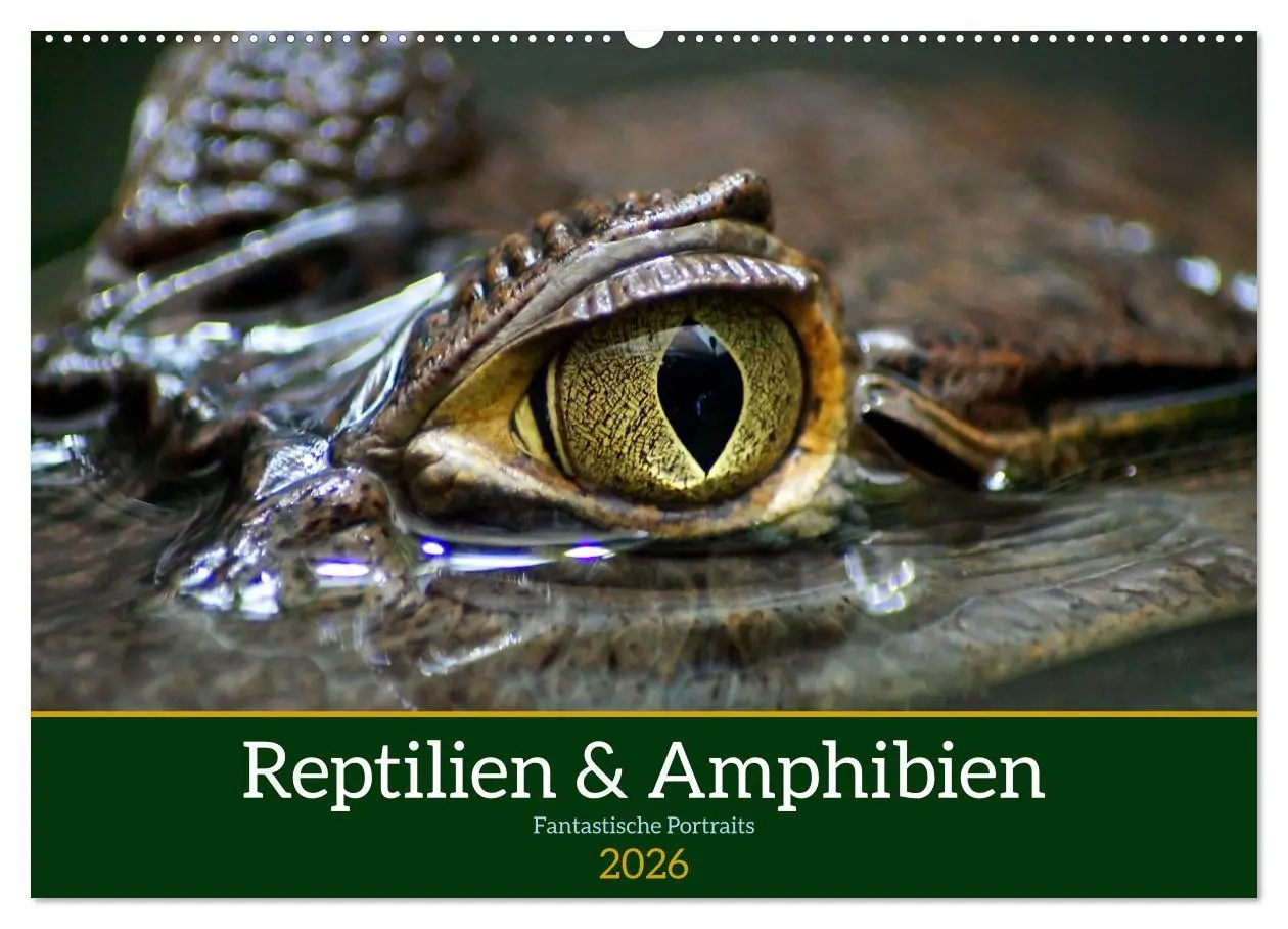 Cover: 9783457583128 | Reptilien &amp; Amphibien Portraits (Wandkalender 2026 DIN A2 quer),...