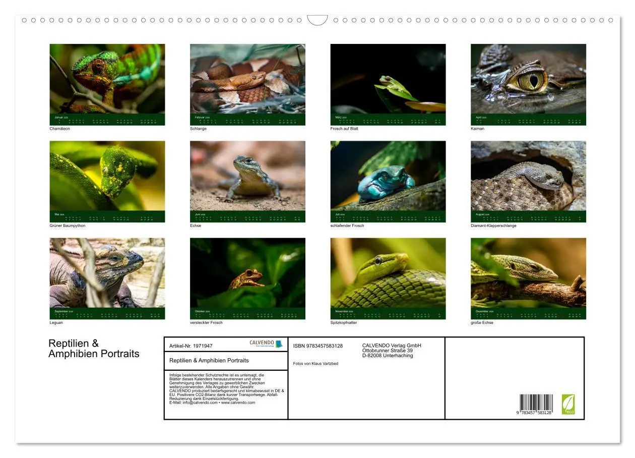 Bild: 9783457583128 | Reptilien &amp; Amphibien Portraits (Wandkalender 2026 DIN A2 quer),...
