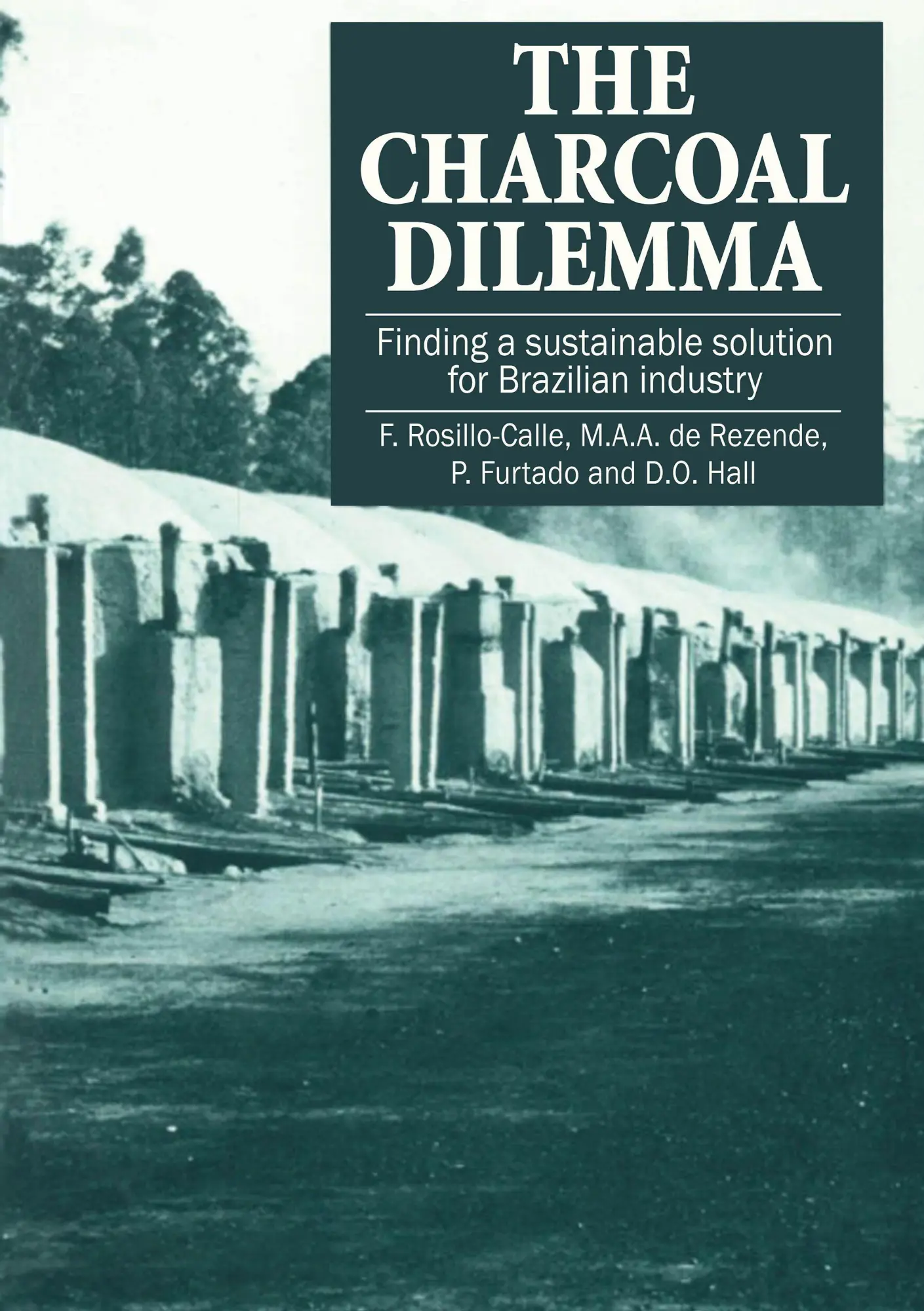Cover: 9781853393228 | The Charcoal Dilemma | F. Rosillo-Calle | Taschenbuch | Englisch
