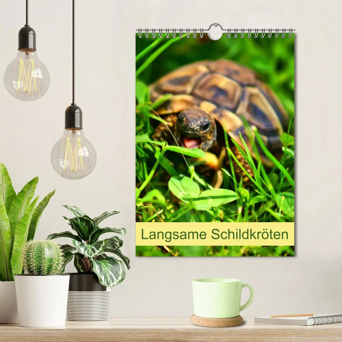 Bild: 9783516423228 | Langsame Schildkröten (Wandkalender 2026 DIN A4 hoch), CALVENDO...