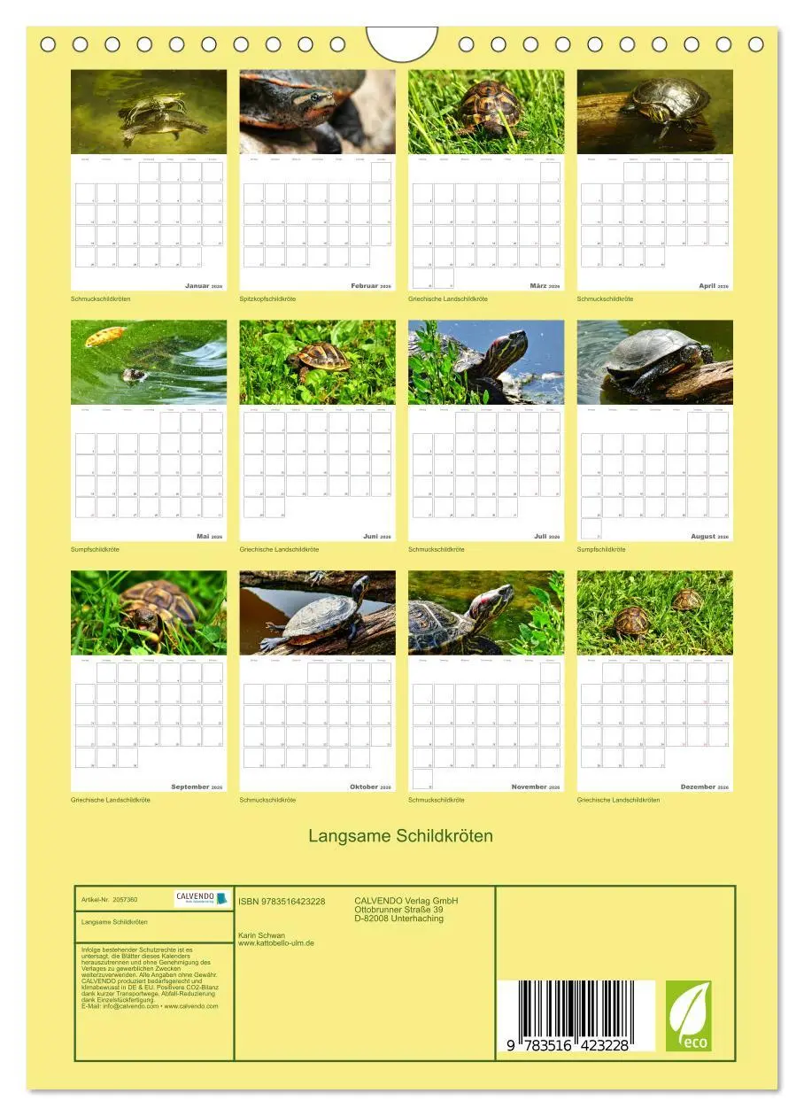 Bild: 9783516423228 | Langsame Schildkröten (Wandkalender 2026 DIN A4 hoch), CALVENDO...