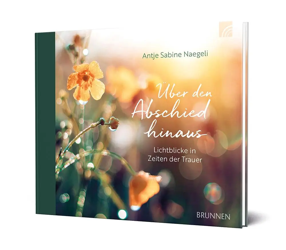 Bild: 9783765533228 | Über den Abschied hinaus | Antje Sabine Naegeli | Buch | 48 S. | 2024
