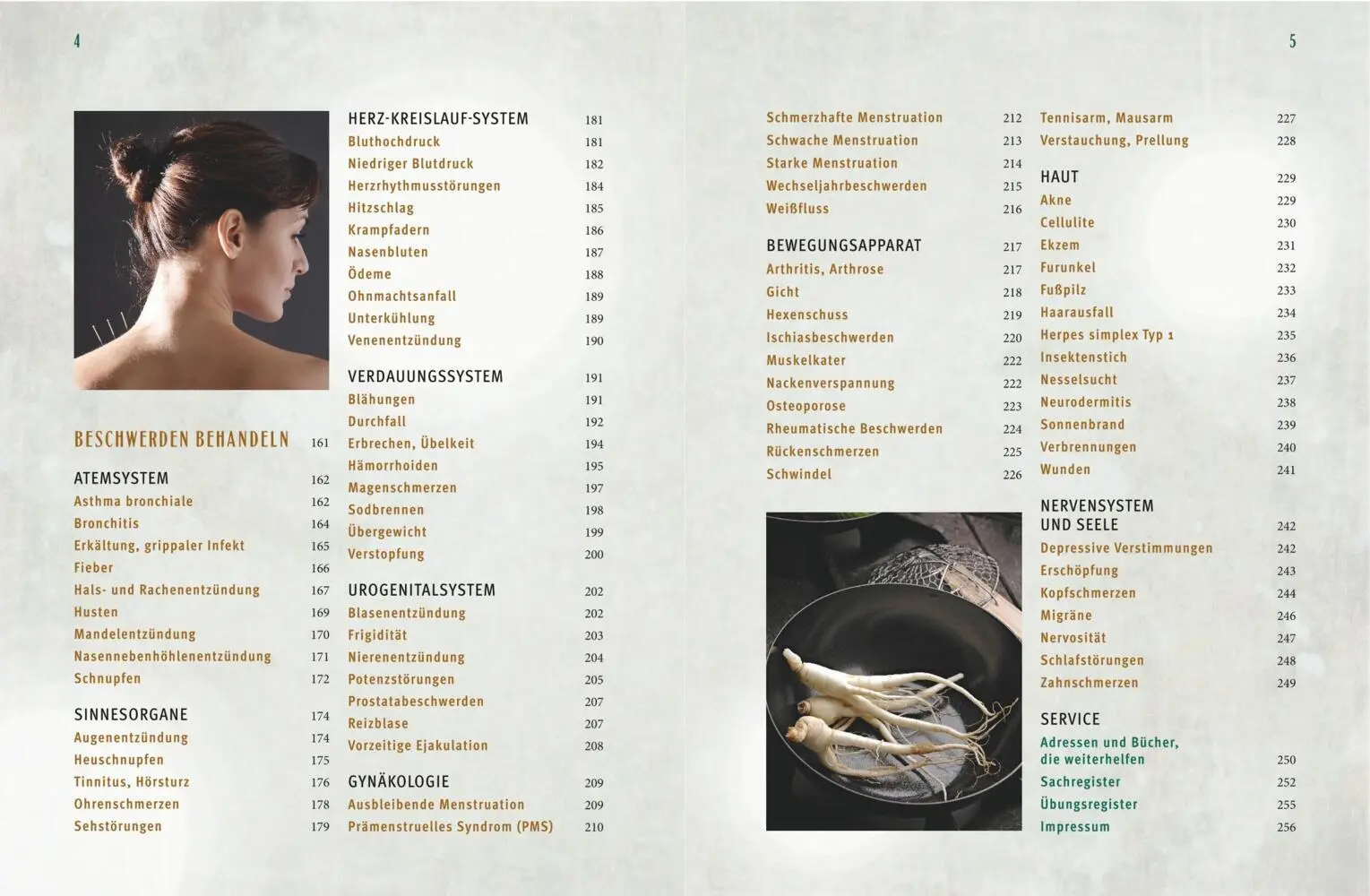 Bild: 9783833843228 | Praxisbuch Energiemedizin | Li Wu (u. a.) | Taschenbuch | 256 S.