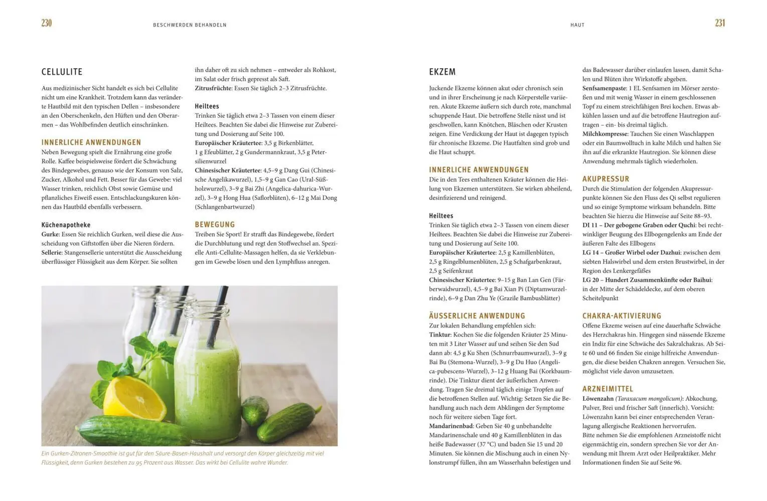 Bild: 9783833843228 | Praxisbuch Energiemedizin | Li Wu (u. a.) | Taschenbuch | 256 S.