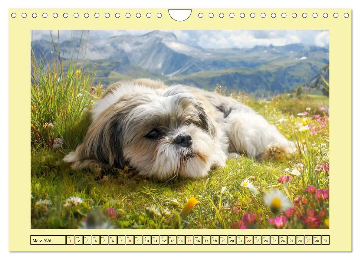 Bild: 9783457943328 | Shih Tzu Glück. Zauberhafte Hunde im alpinen Wanderglück...