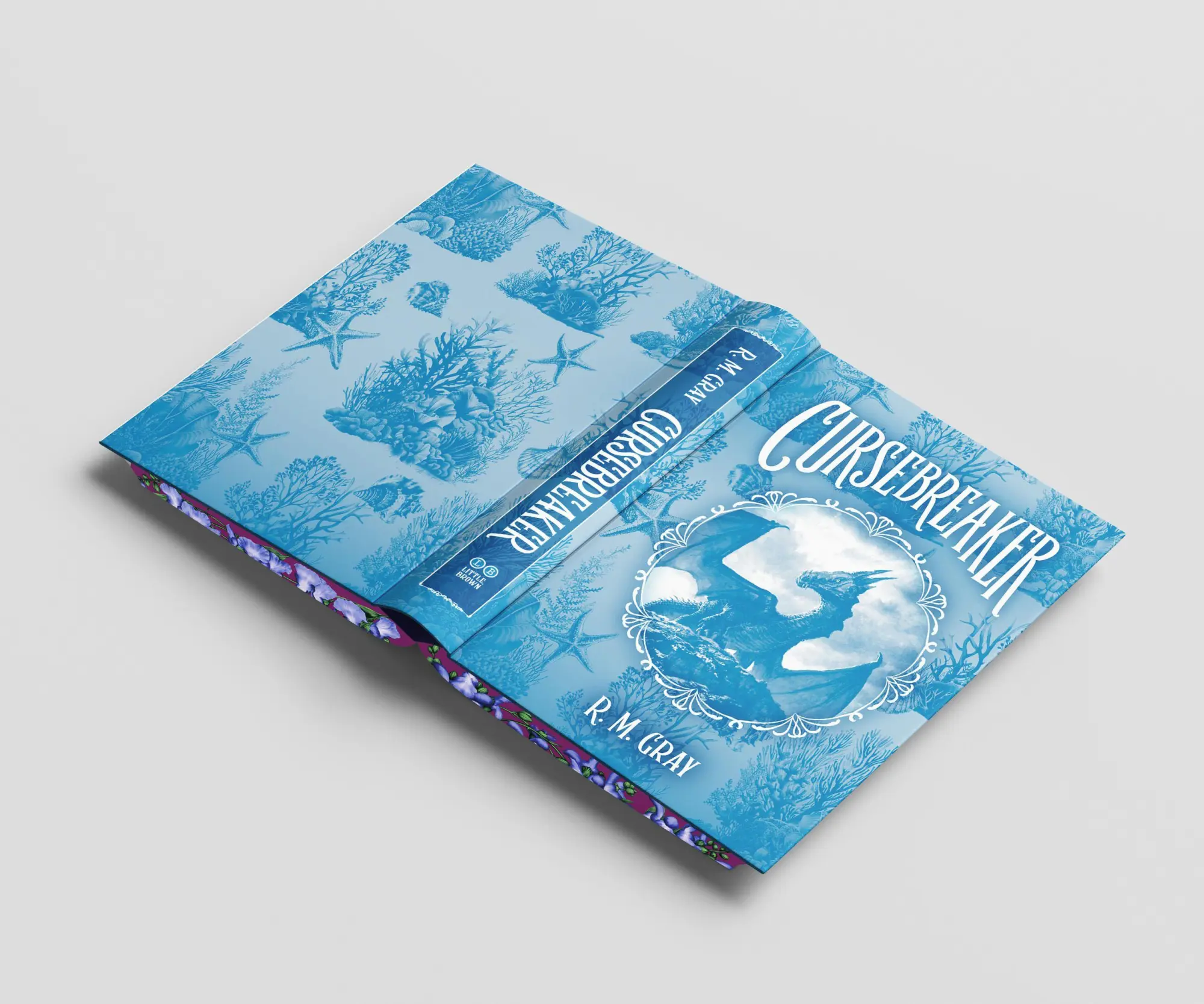 Bild: 9780316583428 | Cursebreaker (Deluxe Limited Edition) | R. M. Gray | Buch | Englisch