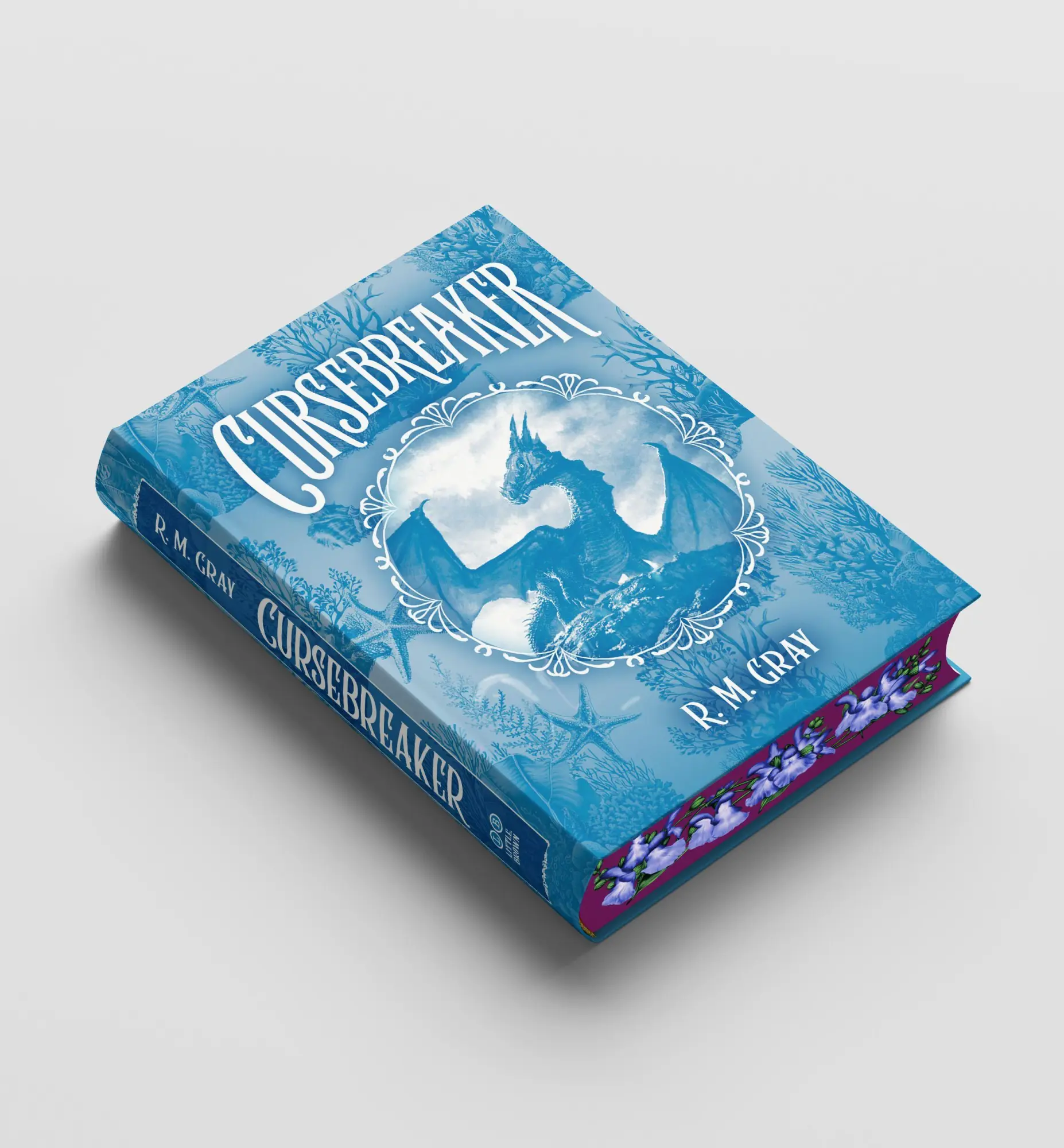 Bild: 9780316583428 | Cursebreaker (Deluxe Limited Edition) | R. M. Gray | Buch | Englisch