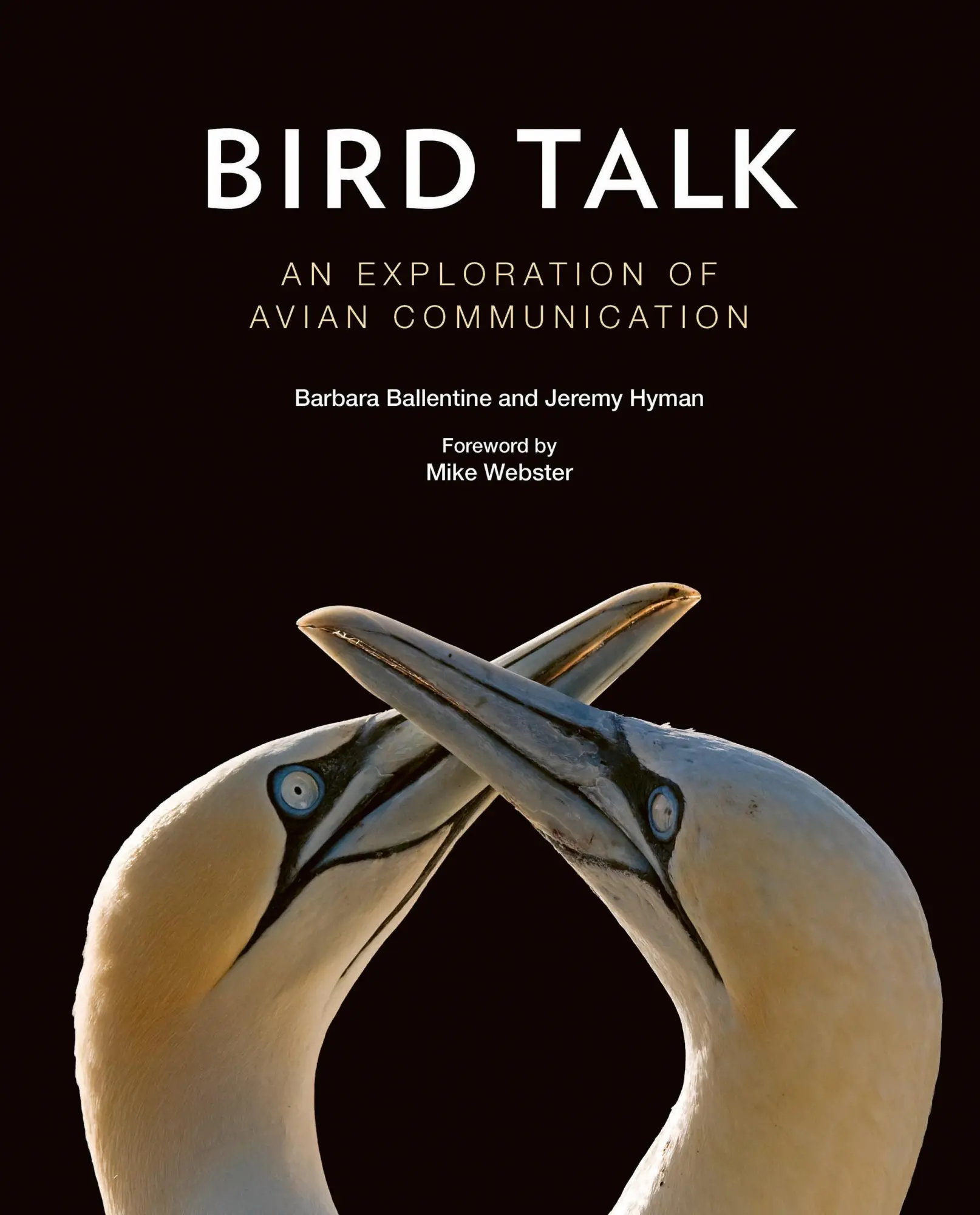 Cover: 9781501753428 | Bird Talk | An Exploration of Avian Communication | Ballentine (u. a.)
