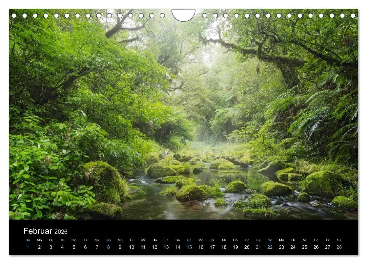 Bild: 9783516023428 | Traumziel Neuseeland 2026 (Wandkalender 2026 DIN A4 quer), CALVENDO...
