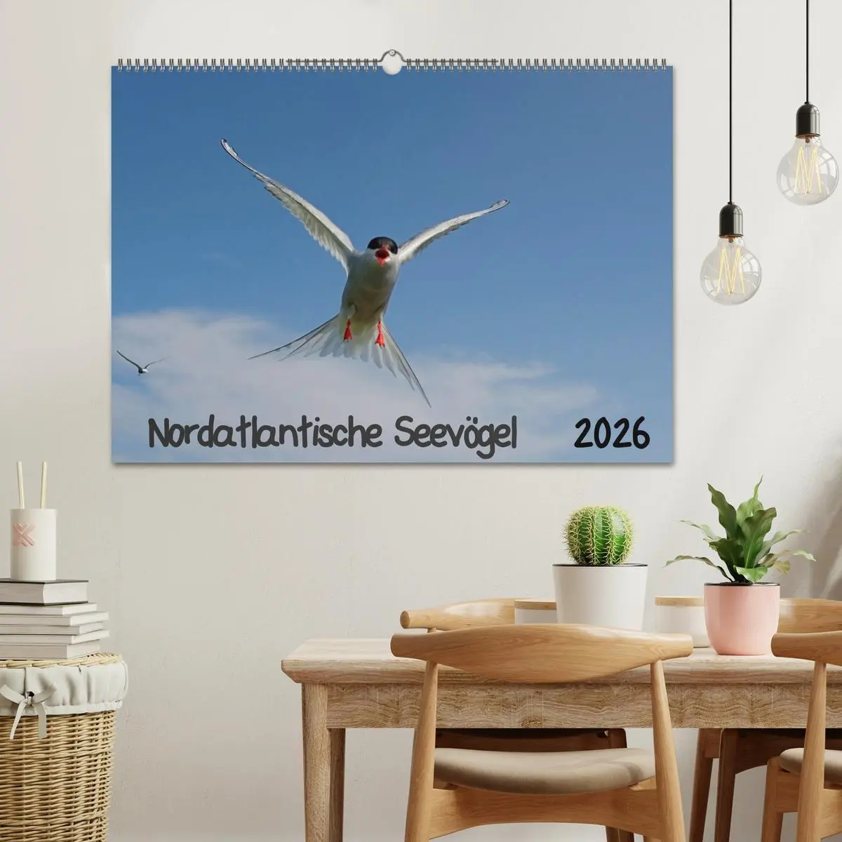 Bild: 9783516193428 | Nordatlantische Seevögel (Wandkalender 2026 DIN A2 quer), CALVENDO...