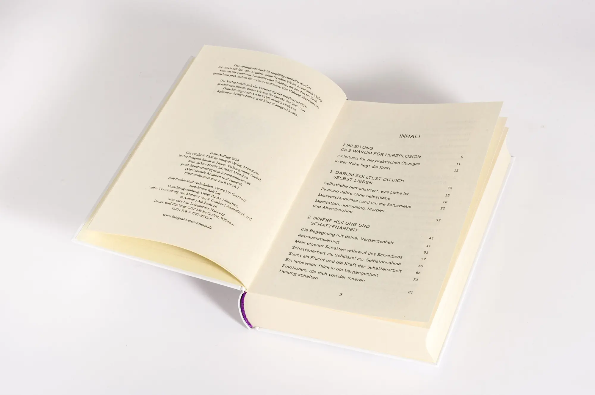 Bild: 9783778793428 | HerzPlosion | Alexander Freise | Buch | 368 S. | Deutsch | 2026