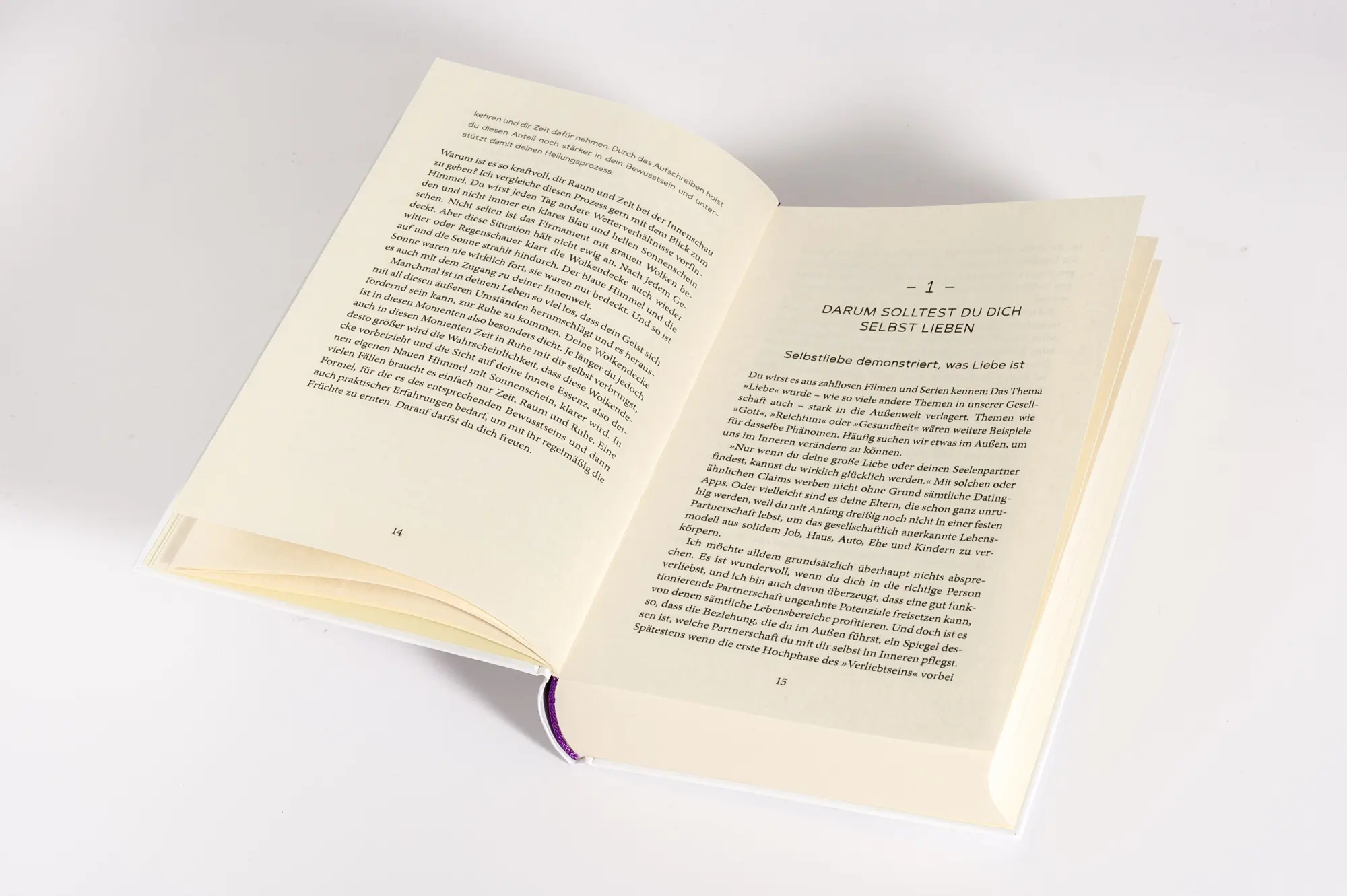 Bild: 9783778793428 | HerzPlosion | Alexander Freise | Buch | 368 S. | Deutsch | 2026