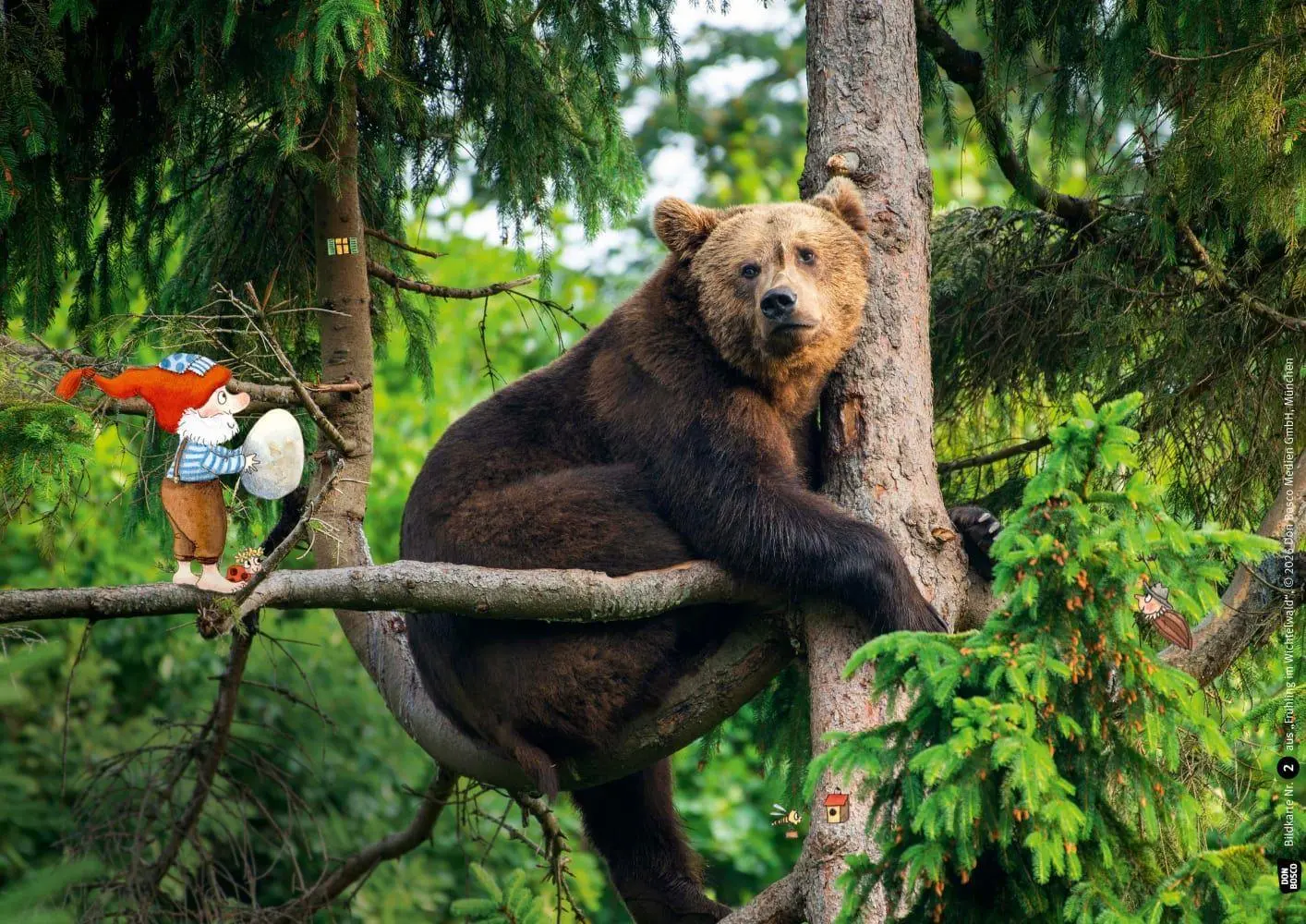 Bild: 4260694923528 | Frühling im Wichtelwald. Kamishibai Bildkartenset | Outi Kaden | Box