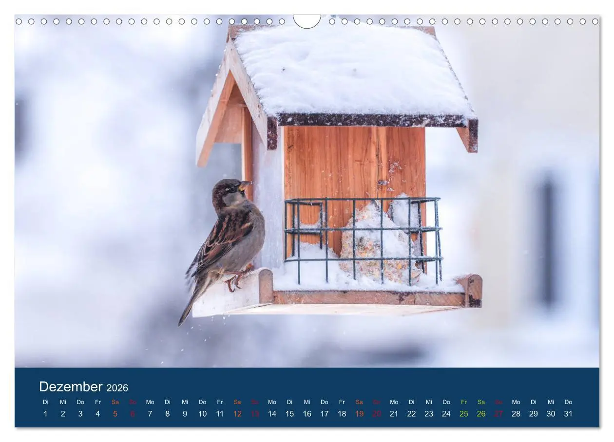 Bild: 9783516183528 | Spatzen-Kalender (Wandkalender 2026 DIN A3 quer), CALVENDO...