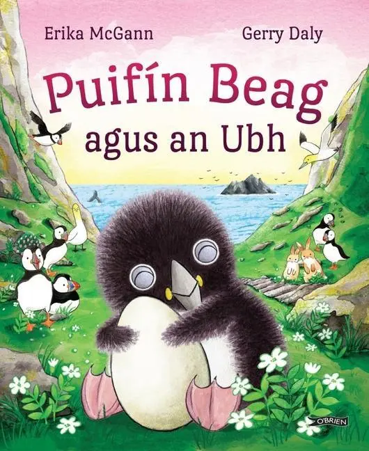Cover: 9781788493628 | Puifin Beag agus an Ubh | Erika Mcgann (u. a.) | Taschenbuch | Irisch