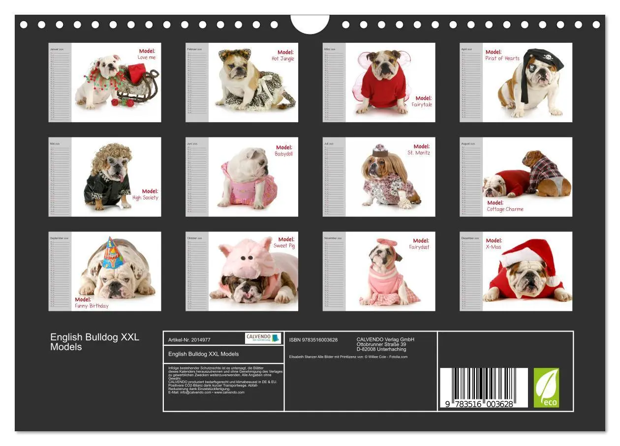 Bild: 9783516003628 | English Bulldog XXL Models (Wandkalender 2026 DIN A4 quer),...