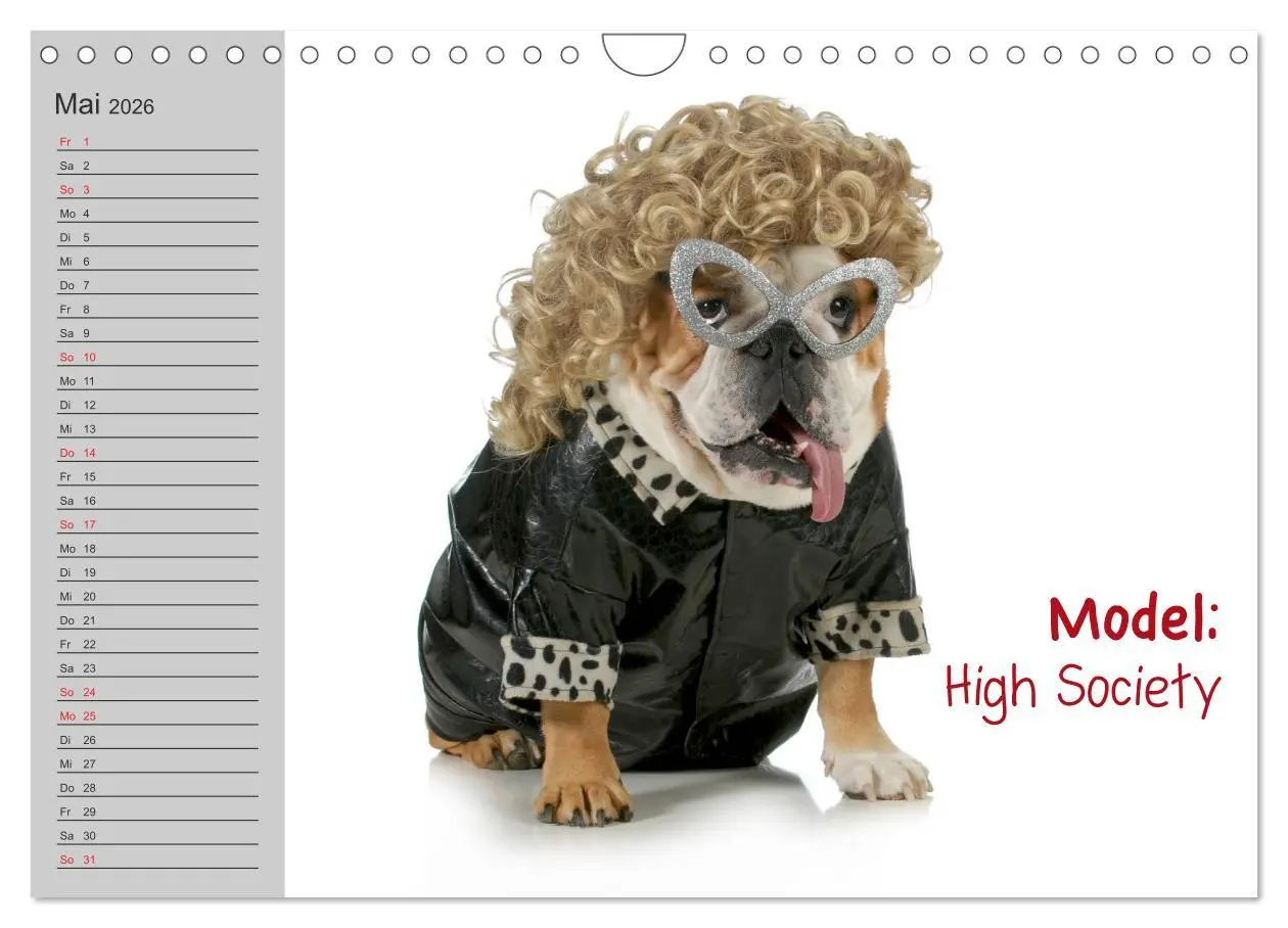 Bild: 9783516003628 | English Bulldog XXL Models (Wandkalender 2026 DIN A4 quer),...