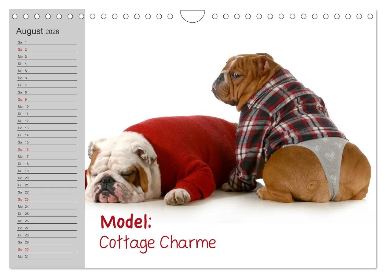 Bild: 9783516003628 | English Bulldog XXL Models (Wandkalender 2026 DIN A4 quer),...