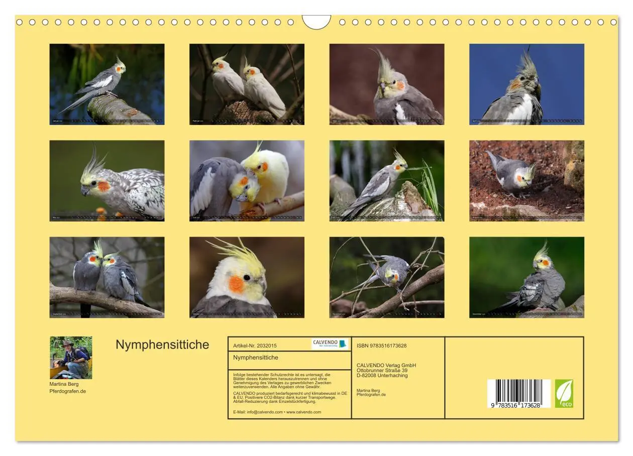Bild: 9783516173628 | Nymphensittiche (Wandkalender 2026 DIN A3 quer), CALVENDO...