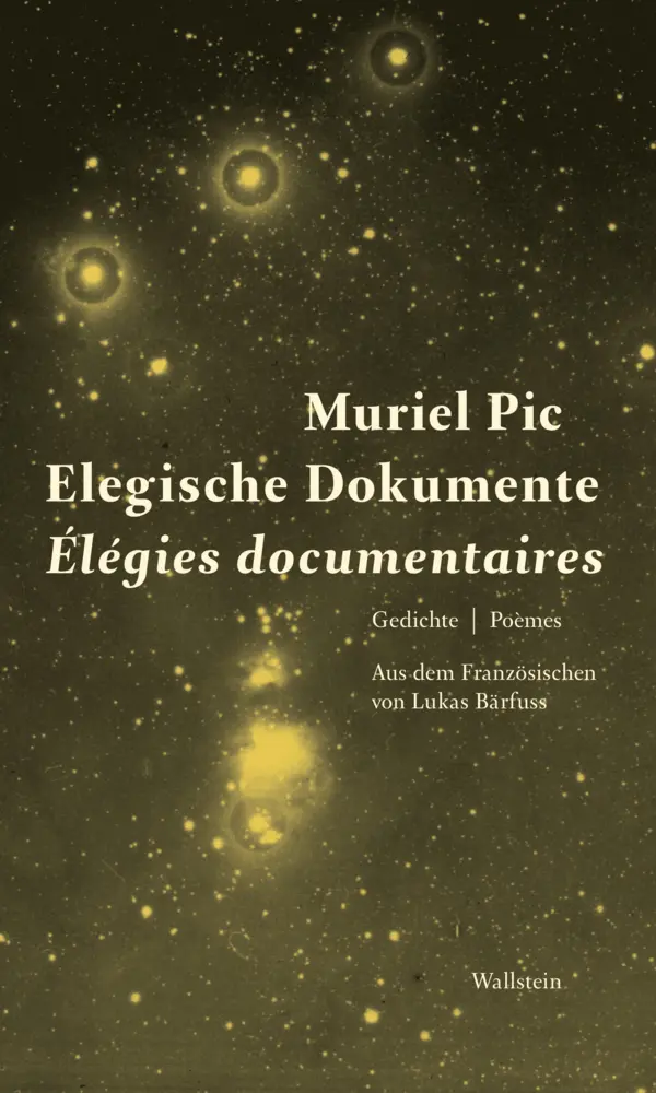 Cover: 9783835333628 | Elegische Dokumente / Élegies documentaires | Gedichte / Poèmes | Pic
