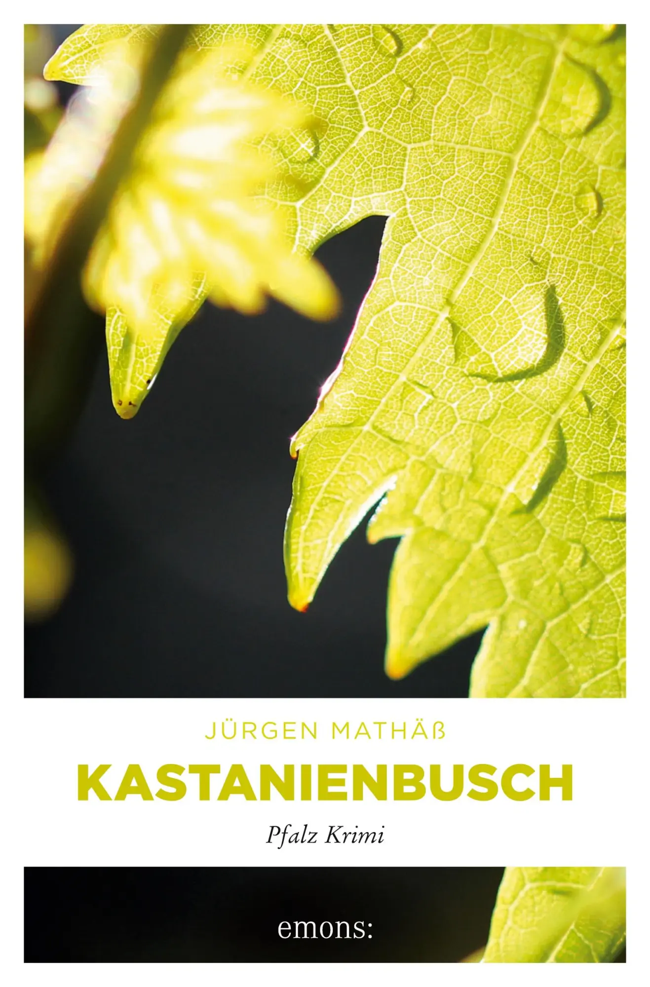 Cover: 9783954513628 | Kastanienbusch | Pfalz Krimi | Jürgen Mathäß | Taschenbuch | 220 S.