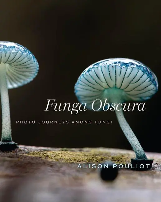 Cover: 9780226843728 | Funga Obscura | Photo Journeys Among Fungi | Alison Pouliot | Buch