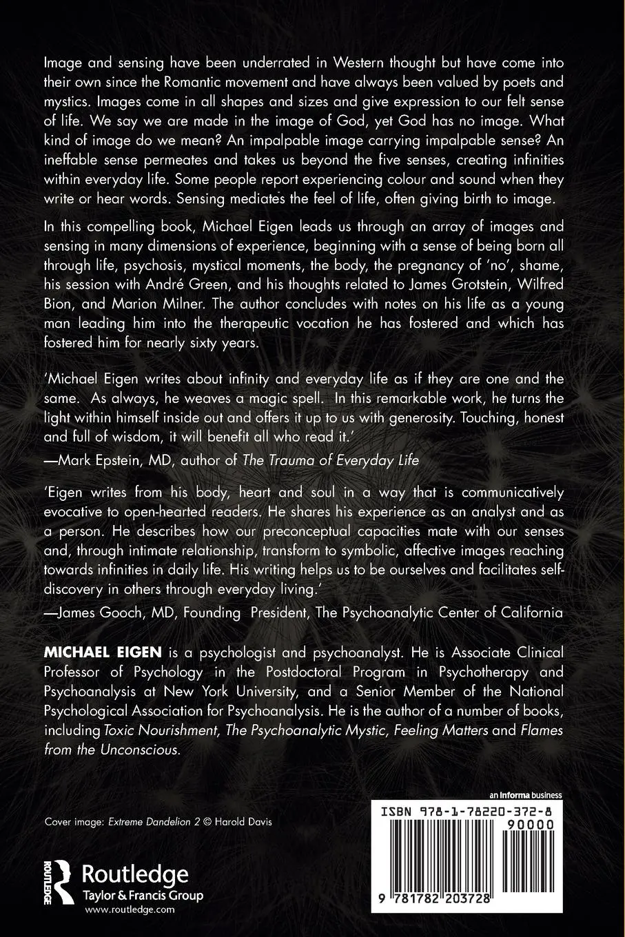 Rückseite: 9781782203728 | Image, Sense, Infinities, and Everyday Life | Michael Eigen | Buch